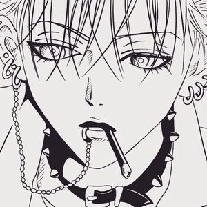 Meet your Posher, Luna